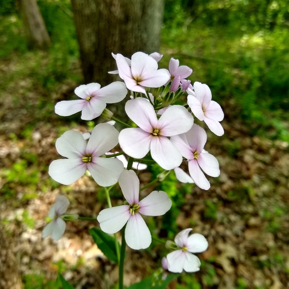 Meet your Posher, Paula